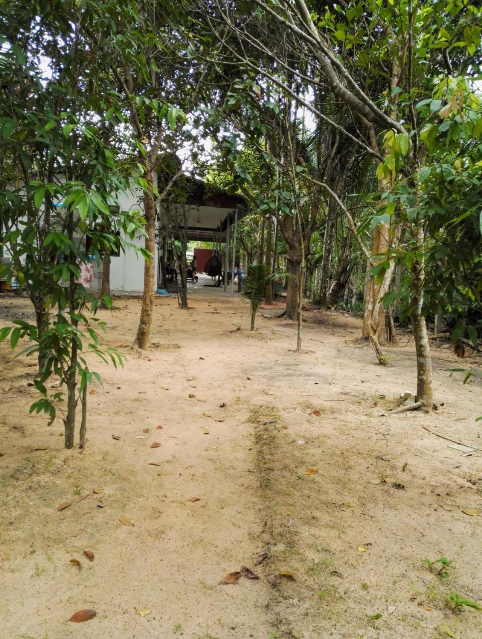 La Maison des Bambous Siem Reap Exterior foto